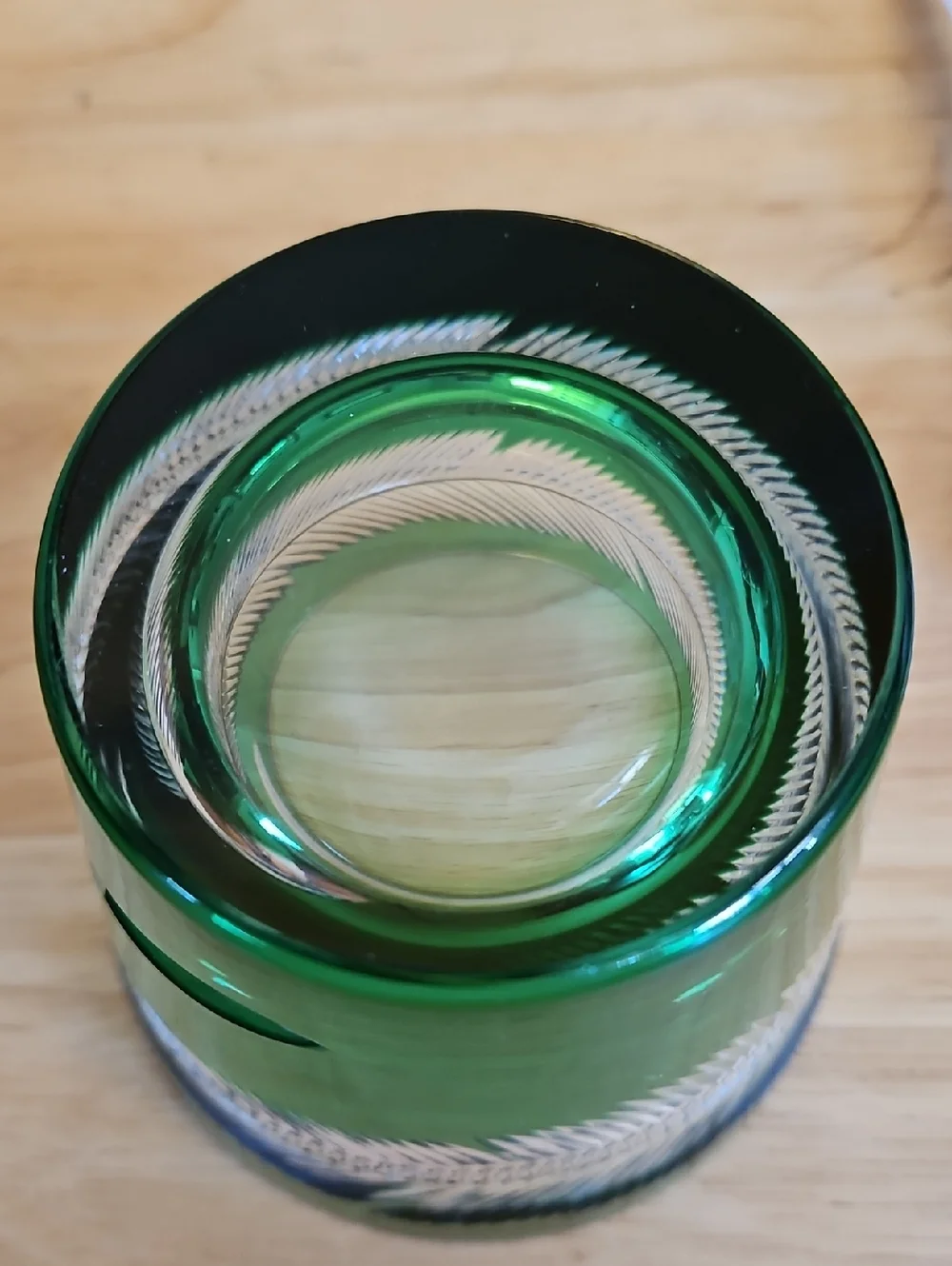 Vintage Green Etched Glass Leaf Feather  Tumbler